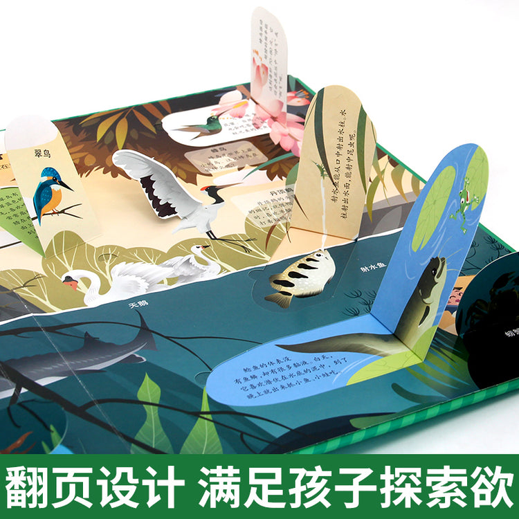 Amazing Animals Pop-up book for kids 3d Flip book for babies 6-8 + picture story picture book